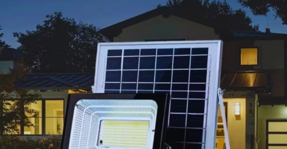 Mr. Chris Wegoye cover