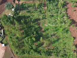 Land Development & Subdivision