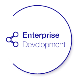 Enterprise & Ecosystem Growth Services