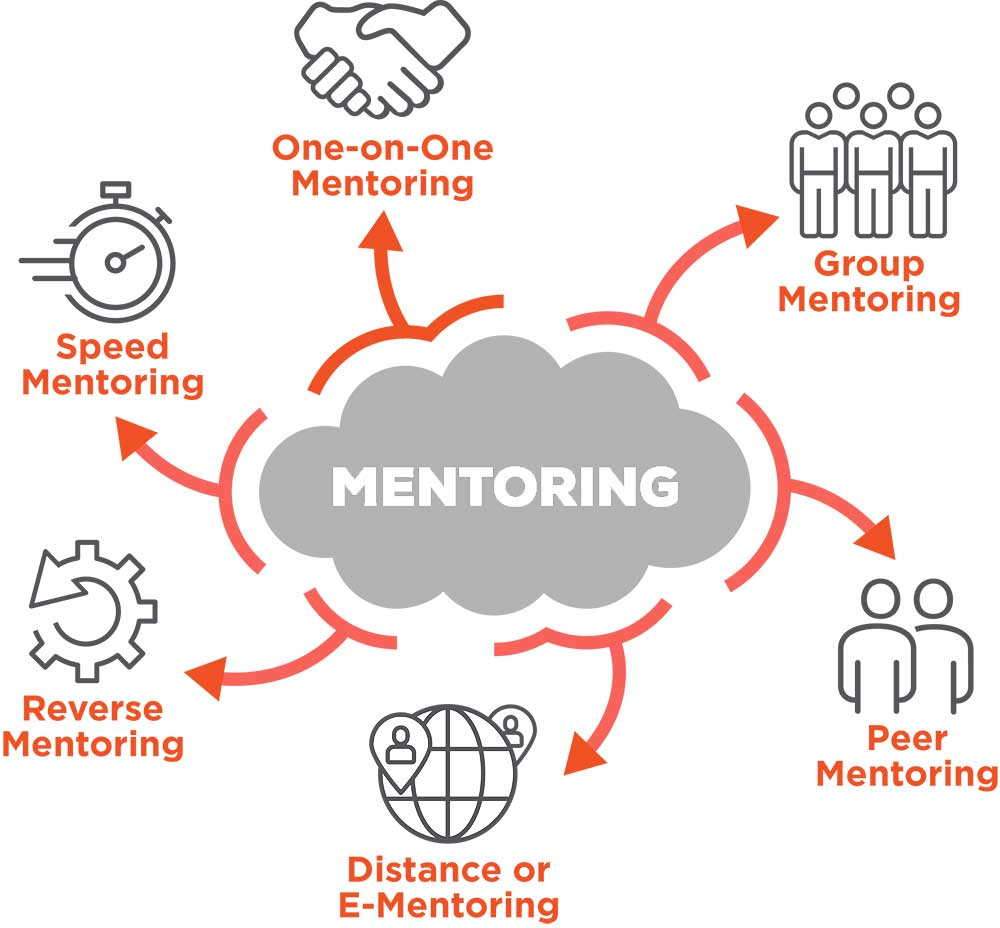 Mentorship & Leadership Development