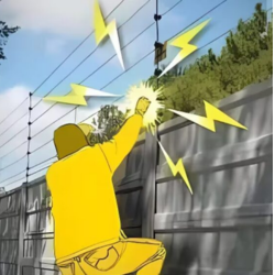 Electric Fencing