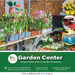 Maua & More – Plants, Pots & Accessories