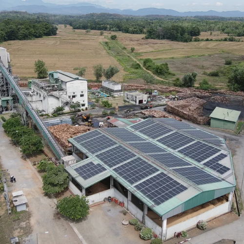 Dendro & Plantation Business