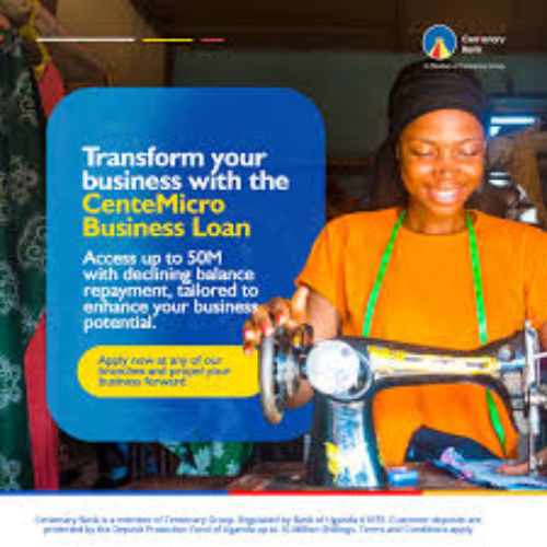 Agriculture & Micro-Business Financing