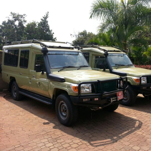 Safari Car Hire Services