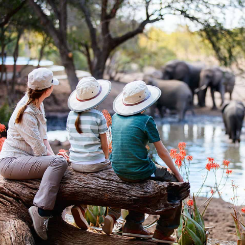 Family, Group & Couple Safaris