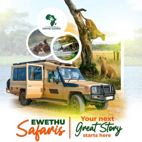 Wildlife Safaris