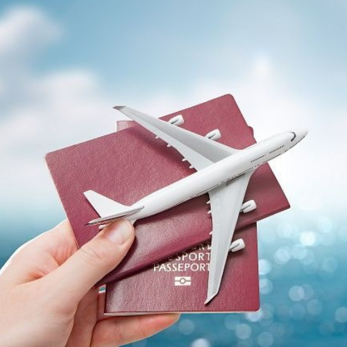 Immigration Services