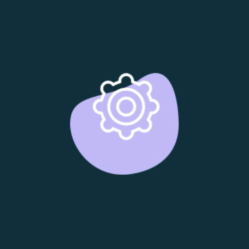 Ecommerce Development.