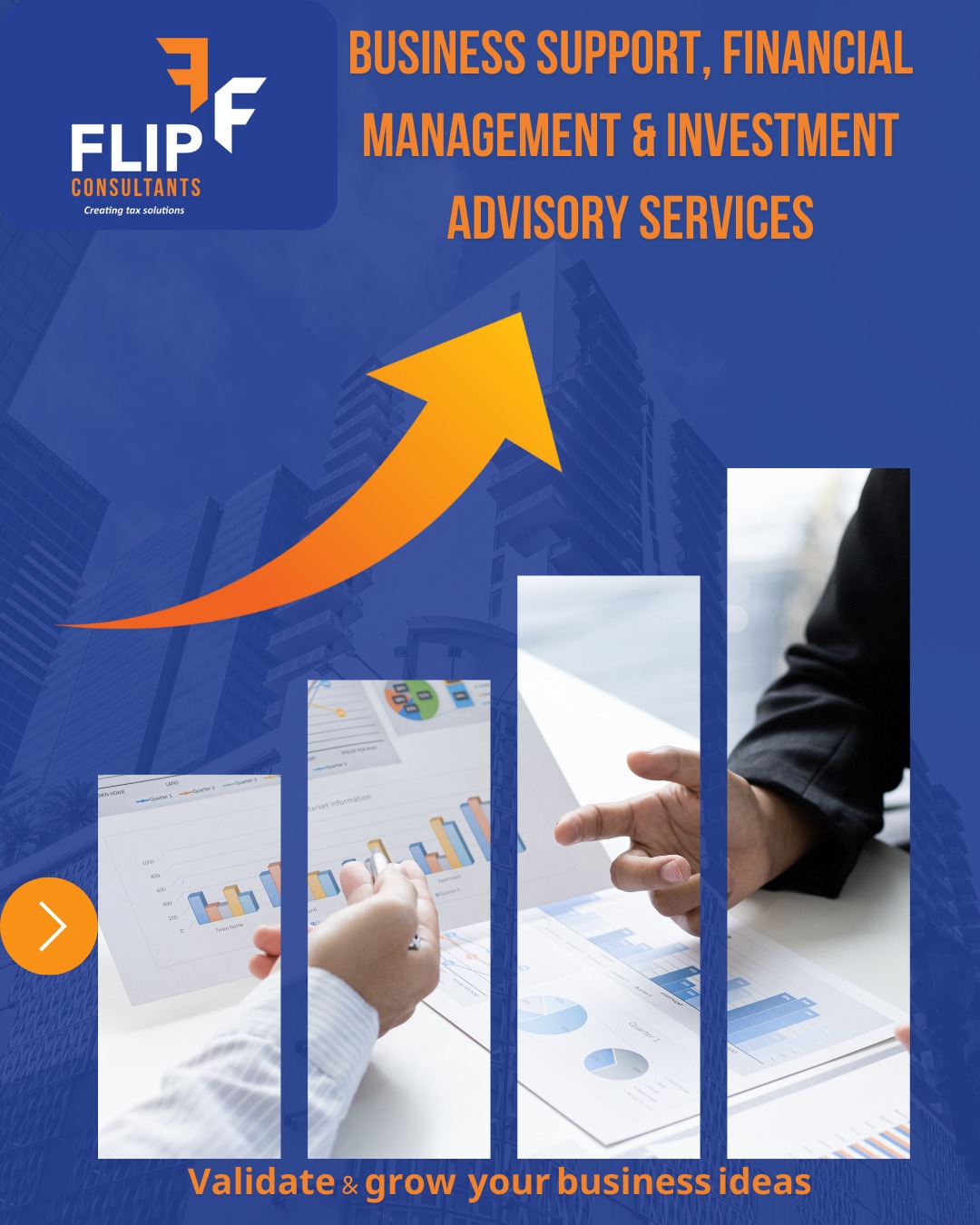 FINCANCIAL & INVESTMENT ADVISORY SERVICES