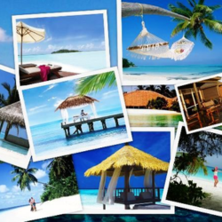 Customized Holiday Packages.