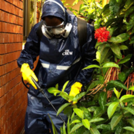 Fumigation and Pest Control Services
