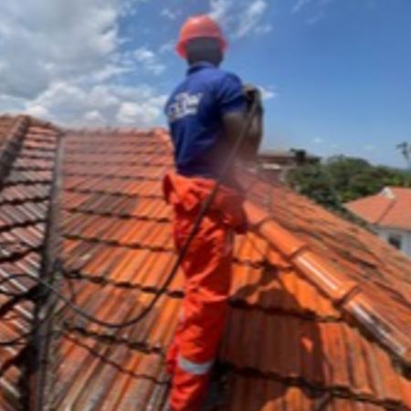 Roof Cleaning