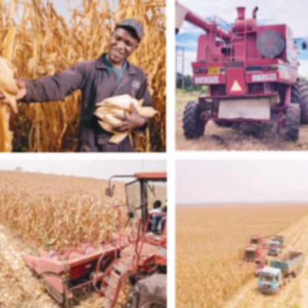 NEC Agro SMC Limited