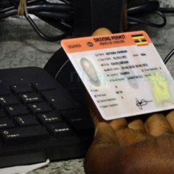 driver license preparation