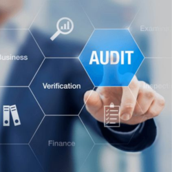 IT Auditing & Control.