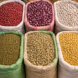 Retail Grocery Sales.