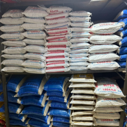 Bulk Orders & Business Supply.