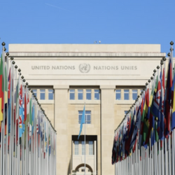 Diplomatic Services