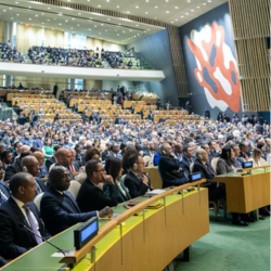 Advocacy for Development