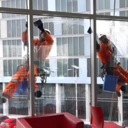 Window, Wall & Furniture Cleaning